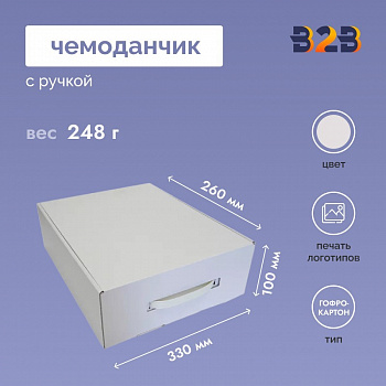 Чемоданчик с ручкой 330х260х100мм