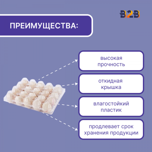 Упаковка для куриных яиц, 20 ячеек (пластик)
