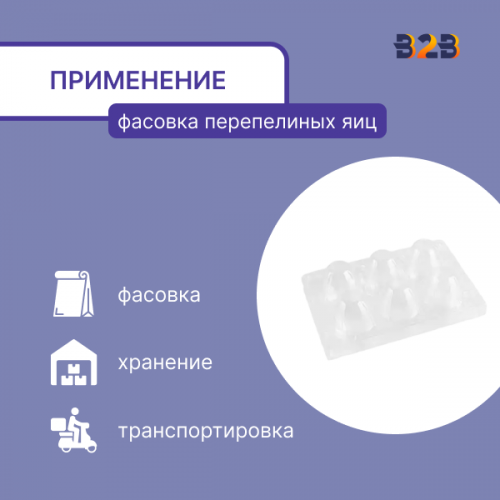 Упаковка для перепелиных яиц, 6 ячеек (пластик)